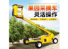 點擊查看詳細信息<br>標題：果園采摘車 閱讀次數(shù)：490